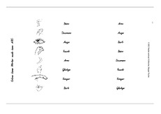 Körperteile1-3.pdf